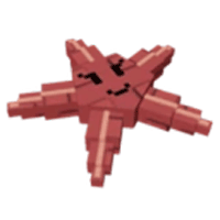 Starfish - Common from Common Summer Egg